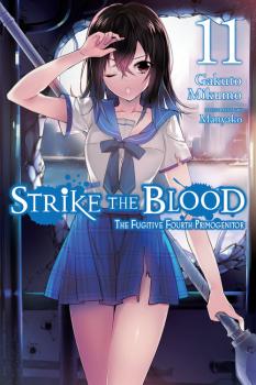 strike the blood vol 2 manga