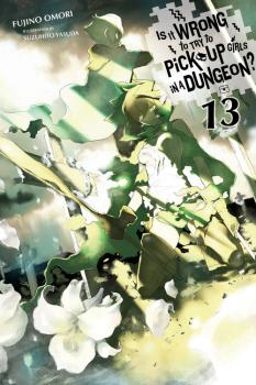 Is It Wrong to Try to Pick Up Girls in a Dungeon? Novel Vol. 13