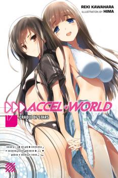 Accel World Novel Vol. 17: The End and the Beginning