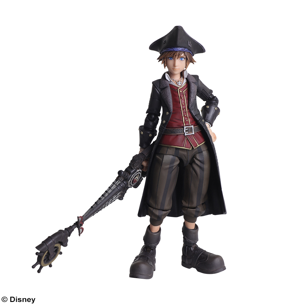 pirate sora bring arts