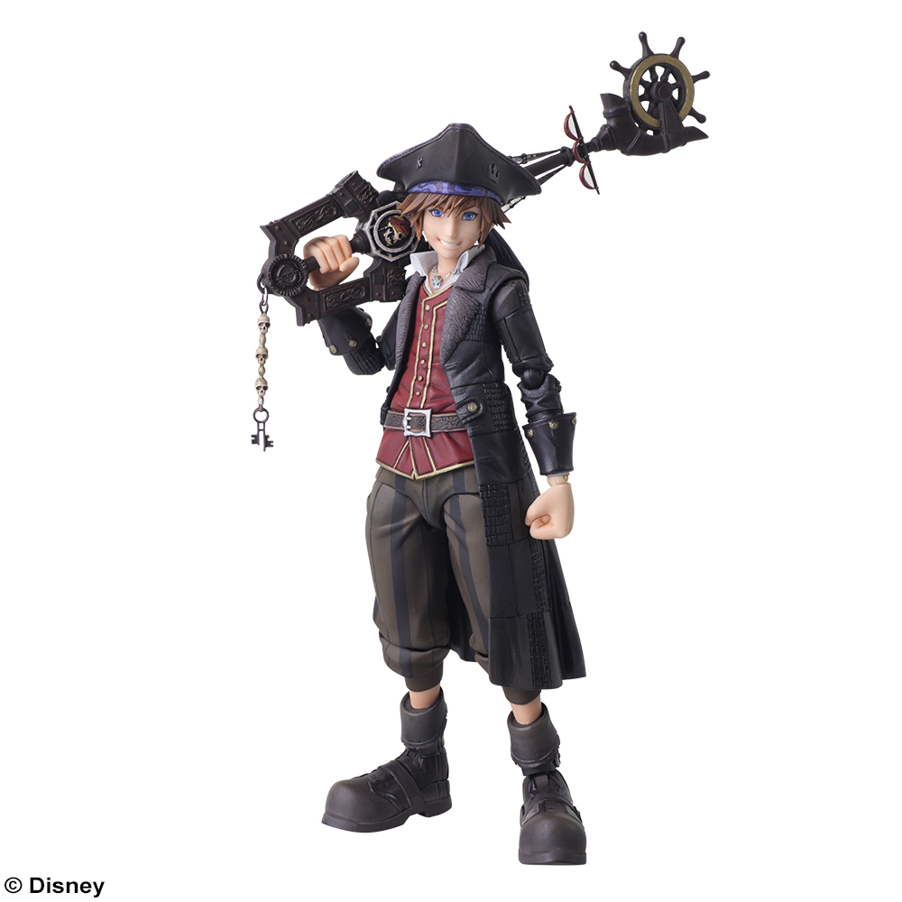 pirate sora bring arts