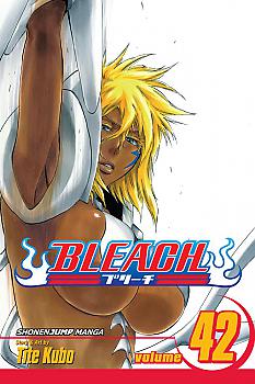 Bleach Manga Vol.  42