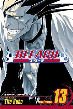 Bleach Manga Vol.  13
