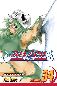 Bleach Manga Vol.  34