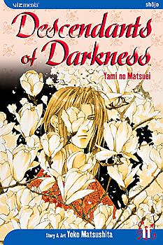 Descendants of Darkness Manga Vol.  11