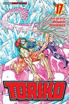 Toriko Manga Vol.  17