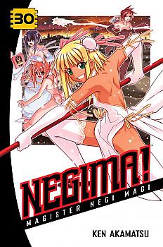 Negima Manga Vol.  30