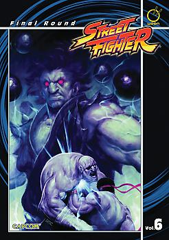 Street Fighter Manga Vol.  6: Final Round