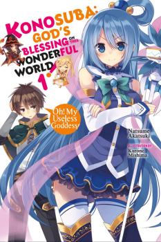 Konosuba: God's Blessing on This Wonderful World! Novel Vol.  1