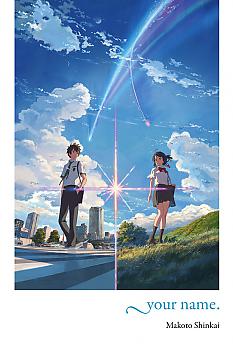 your name. Novel (Hardcover)