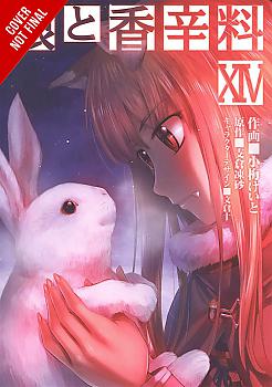 Spice and Wolf Manga Vol. 14
