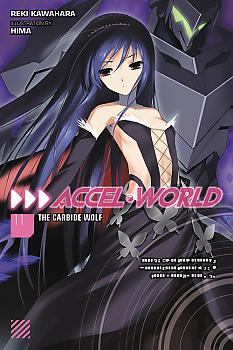 Accel World Novel Vol. 11