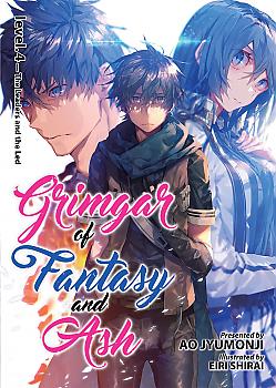 Grimgar of Fantasy and Ash Novel Vol.  4